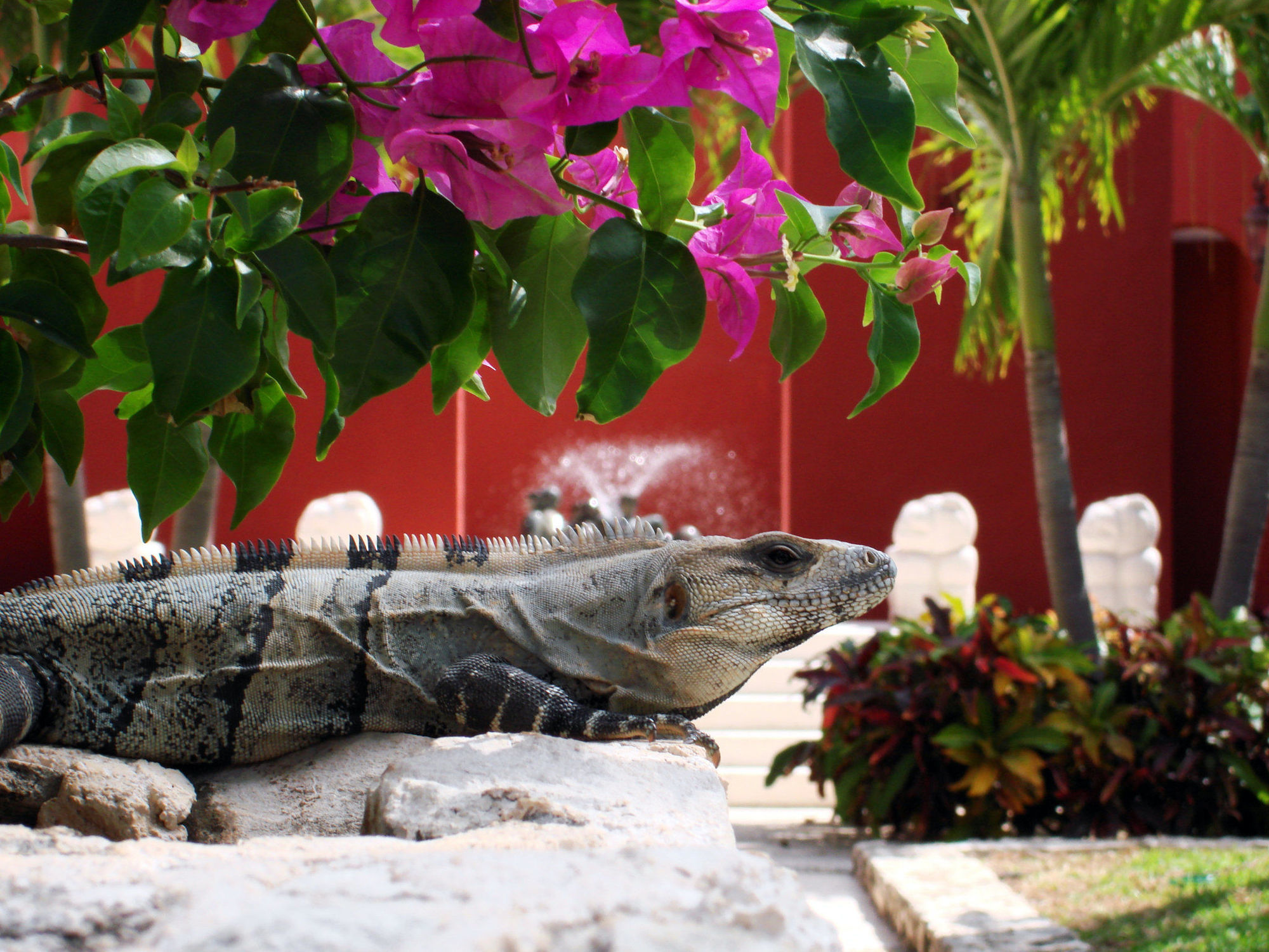 Paraiso De La Bonita Adult All-Inclusive, A Luxury Collection Resort Puerto Morelos Amenidades foto